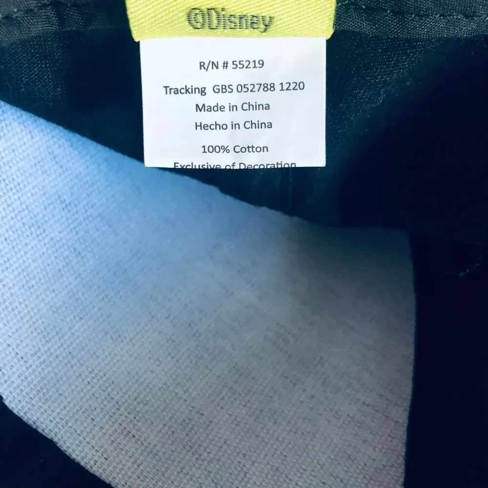 Disney kid mickey